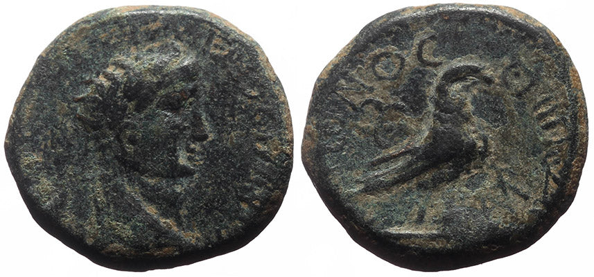 Ancient Roman coin of Claudius I - Minerva