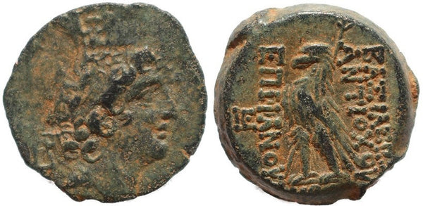 Seleukid coin of the King Antiochus VIII Epiphanes Grypus - Superb reverse