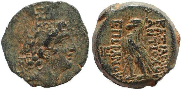 Seleukid coin of the King Antiochus VIII Epiphanes Grypus - Superb reverse