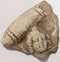 Small Roman fragment of a drinking cup with Dionysus?