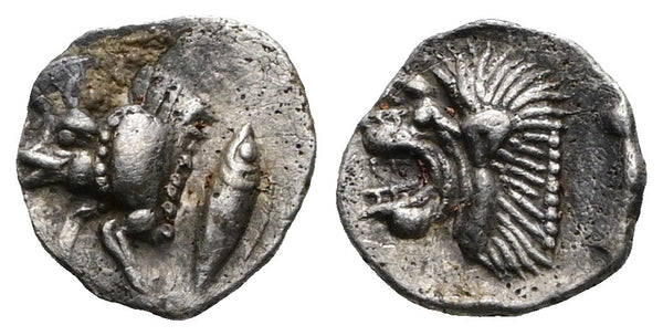 Ancient Greek coin from MYSIA, Kyzikos. 480-450 BC