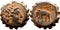 Ancient Greek coin of the Seleukid King Antiochos VI Dionysos