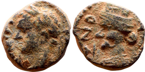 Roman coin of Domitian minted in Canatha, Decapolis