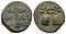 Ancient Greek coin from Colchis - Time of Mithradates VI Eupator (Circa 105-90 BC)