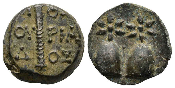 Ancient Greek coin from Colchis - Time of Mithradates VI Eupator (Circa 105-90 BC)