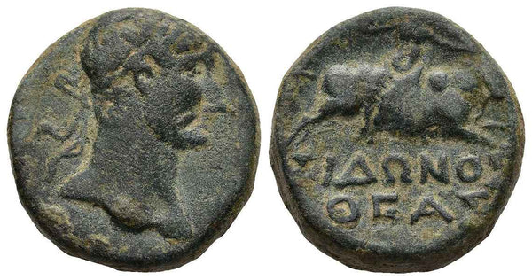 Ancient Roman Coin of the Emperor Hadrian minted in Sidon, Phoenicia