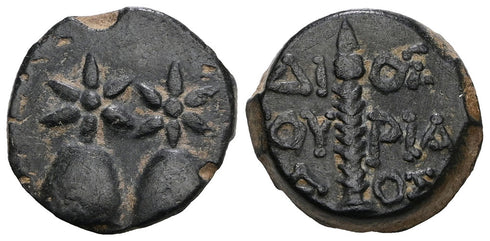 Ancient Greek coin from Colchis - Time of Mithradates VI Eupator (Circa 105-90 BC)