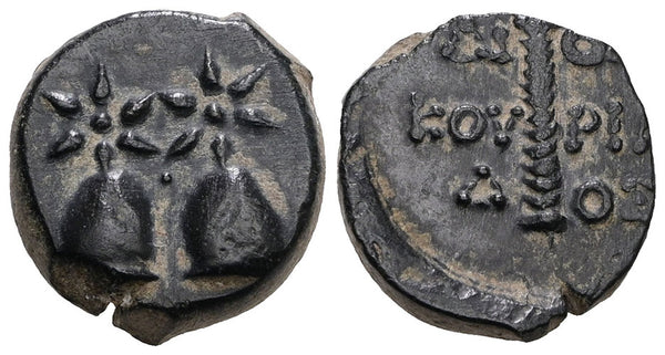 Ancient Greek coin from Colchis - Time of Mithradates VI Eupator (Circa 105-90 BC)
