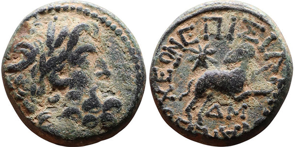 Ancient Greek coin from Antioch, Syria - Time of Roman Emperor Augustus