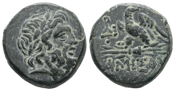 Ancient Greek coin from Pontos, Amisos 100-85BC