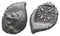 Ancient Greek silver coin from Ionia, Miletos. Late 6th early 4th Century BC. AR Diobol