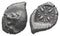 Ancient Greek silver coin from Ionia, Miletos. Late 6th early 4th Century BC. AR Diobol