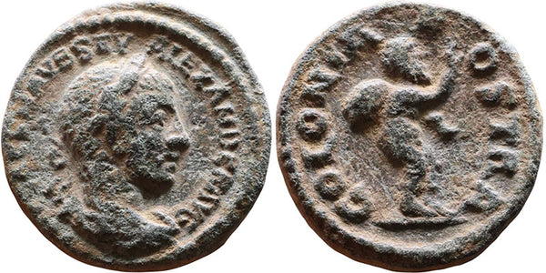 Roman coin of Severus Alexander - Bostra, Decapolis, Arabia