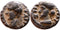 Roman Provincial coin of Domitian- Decapolis, Kanatha