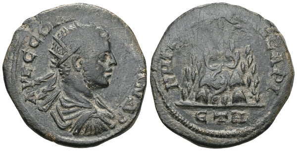 Roman Provincial coin of Severus Alexander minted in Caesarea, Cappadocia