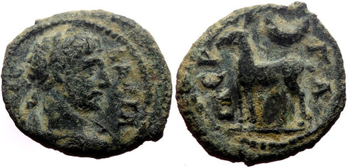 Ancient Roman Provincial Coin of the Emperor Hadrian minted in Perge, Pamphylia