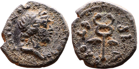 Ancient Roman Provincial coin 1st to 3rd centuries AD - Winged Caduceus - Seleucis and Pieria, Antioch