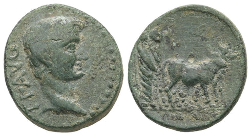 Ancient Roman coin of Tiberius 14-37 AD minted in Troas, Alexandria Troas