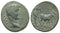 Ancient Roman coin of Tiberius 14-37 AD minted in Troas, Alexandria Troas
