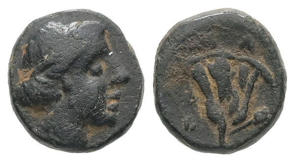 Ancient Greek coin of Rhodes, Caria circa 350-300 BC
