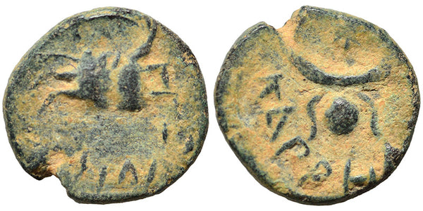 Ancient coin minted in Carrhae, Mesopotamia 161-276 AD