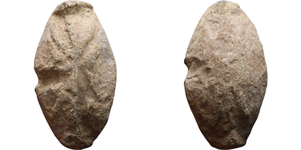 Ancient Greek Lead Sling Bullet with image circa 4th to 1st centuries BC