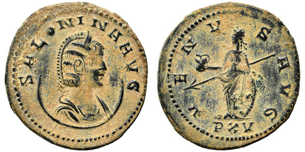 Ancient Roman coin of Salonina minted in Rome. Large flan for the type with a desert patina
