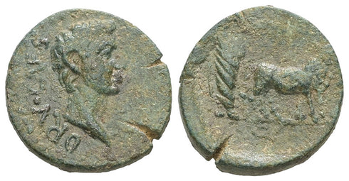 Ancient Roman coin of Drusus as Caesar minted in Troas, Alexandria
