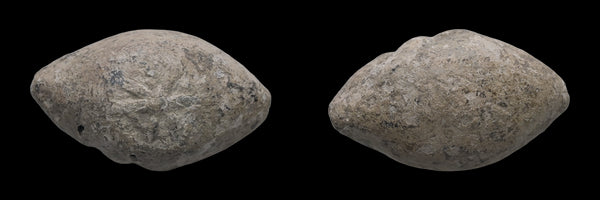 Ancient Greek Lead Sling Bullet with STAR circa 4th to 1st centuries BC