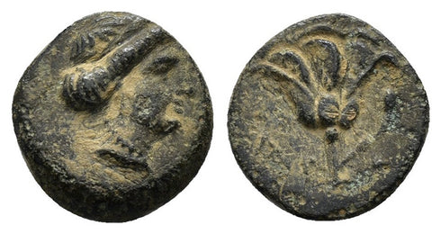 Ancient Greek coin from Rhodos, Rhodes circa 350-300BC