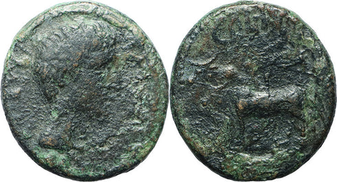 Ancient Roman Provincial coin of Augustus