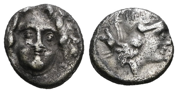 Ancient Greek silver coin from Selge, Pisidia Circa 350-300 BC
