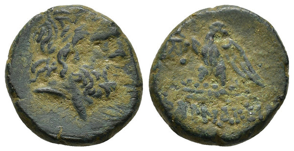 Ancienr Greek coin minted in Pharnakeia, Pontos Circa 120-63 BC