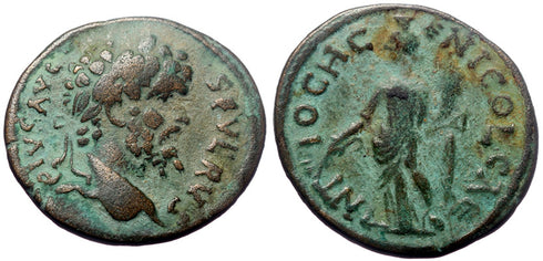 Ancient Roman Provincial coin of the Emperor Septimius Severus minted in Antioch, Pisidia
