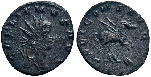 Ancient Roman coin of the Emperor Gallienus - Pegasus
