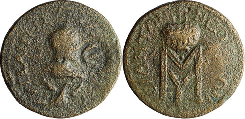 Large Ancient Roman coin of Gallienus minted in Side, Pamphylia