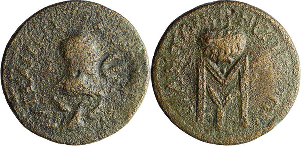 Large Ancient Roman coin of Gallienus minted in Side, Pamphylia