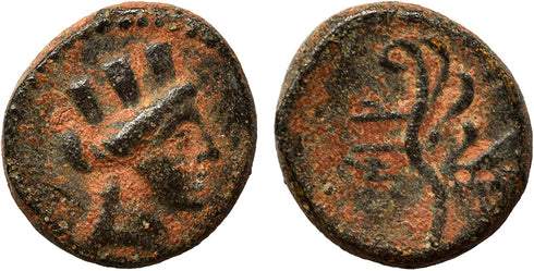 Ancient Phoenician coin from Arados - Tyche and Aphlaston 2nd - 1st century BC