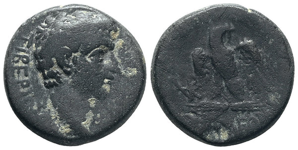 Ancient Roman Provincial coin of Tiberius minted in Apameia, Phrygia