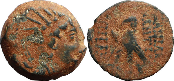 Ancient Greek coin of Antiochos VIII Epiphanes (Grypos) 121/0-97/6 BC