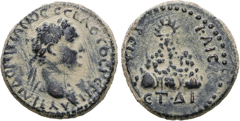 Ancient Roman Provincial coin of the Emperor Domitian minted in Caesaria, Cappadocia