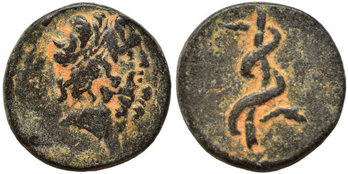Ancient Greek coin minted in Seleukis and Pieria, Antioch - Asklepios and a coiled serpent
