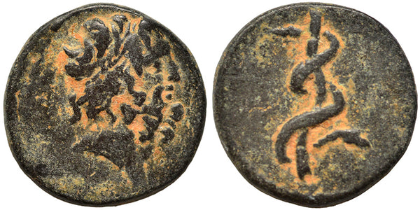 Ancient Greek coin minted in Seleukis and Pieria, Antioch - Asklepios and a coiled serpent