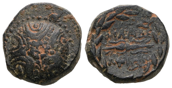Ancient Macedonian coin minted in Philadelphia, Lydia Circa 100-14 BC