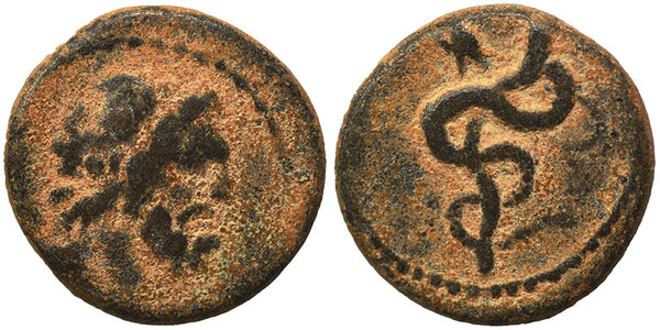 Ancient Greek coin minted in Seleukis and Pieria, Antioch - Asklepios and a coiled serpent