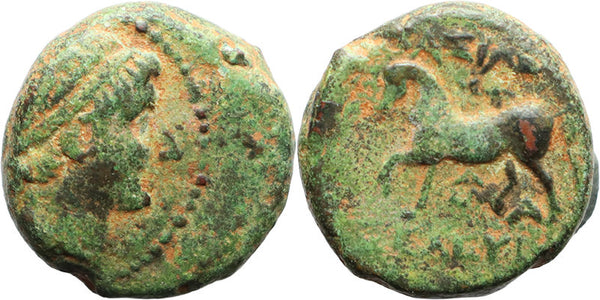 Ancient Greek coin of Seleukos II - Seleukid King 246-225 BC
