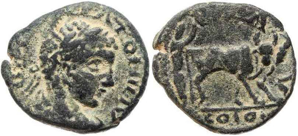 Bold Roman coin of Elagabalus from Petra, Arabia