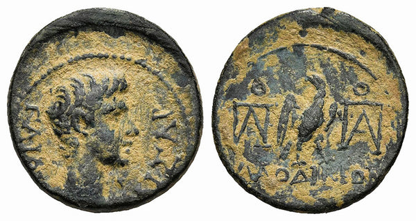 Ancient Roman Provincial coin of Gauis as Caesar struck in Laodicea ad Lycum, Phrygia