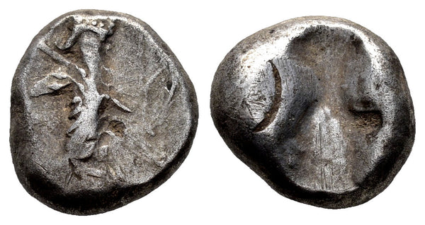 Ancient Achaemenid silver coin - Time of Darios I to Xerxes II 485-420BC minted in Sardeis
