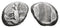Ancient Achaemenid silver coin - Time of Artaxerxes II to Darius III circa 375-330 BC